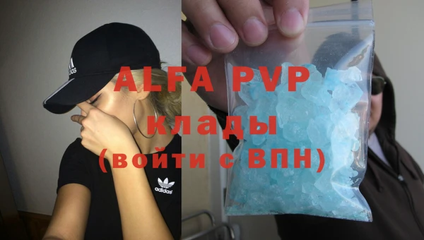 гашик Абаза