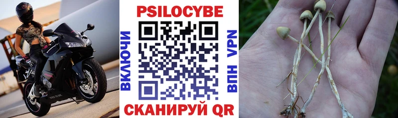 купить Красновишерск Псилоцибиновые грибы MAGIC MUSHROOMS