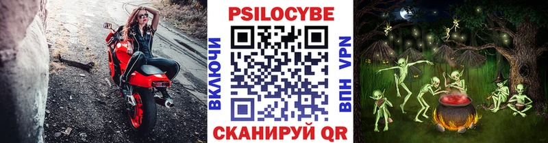 Псилоцибиновые грибы мицелий Красновишерск